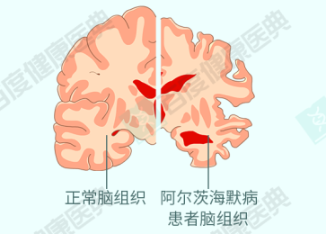 image1.png